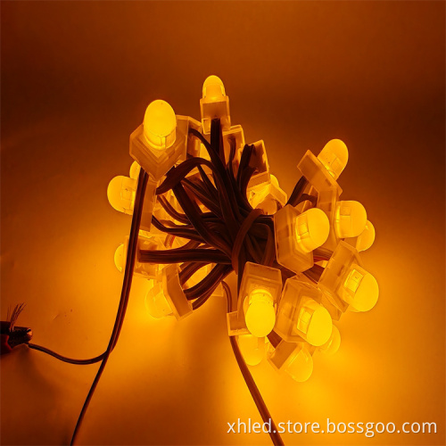 24V DC RGBW Pixel LED Point Light for Durable Outdoor Christmas Decoration